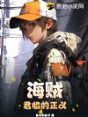 海贼:君临的正义