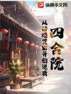 四合院:从锤爆贾家开始逆袭